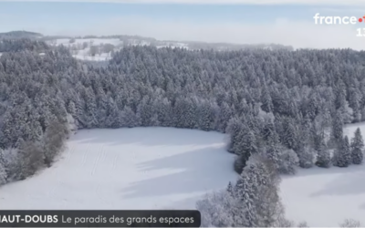 Journal de 13h de France 2